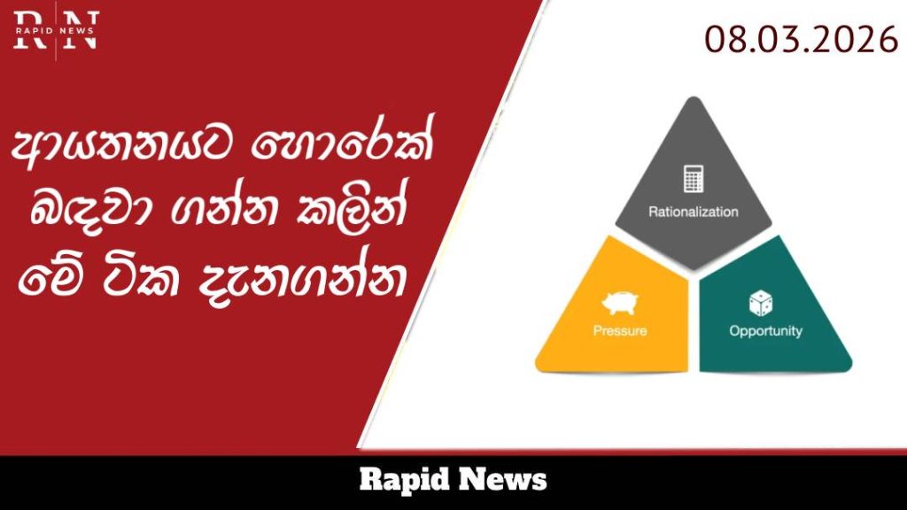 ආයතනයට හොරෙක් බඳවා ගන්න කලින් මේ ටික දැනගන්න 1 office 1