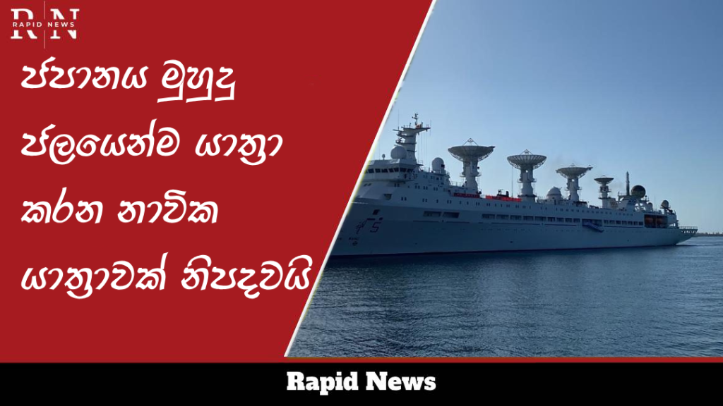 punsilu Recovered Recovered 8